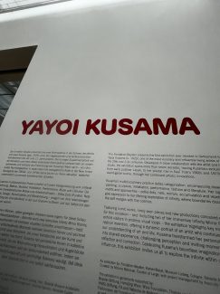 U svetu koji se neprestano menja, tačkice ponavljanja japanske umetnice su nit koja smiruje: Danas na izložbi Jajoi Kusame u Bazelu 8