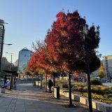 RHMZ objavio kakvo nas vreme čeka: Do 13 stepeni pa zahlađenje 7