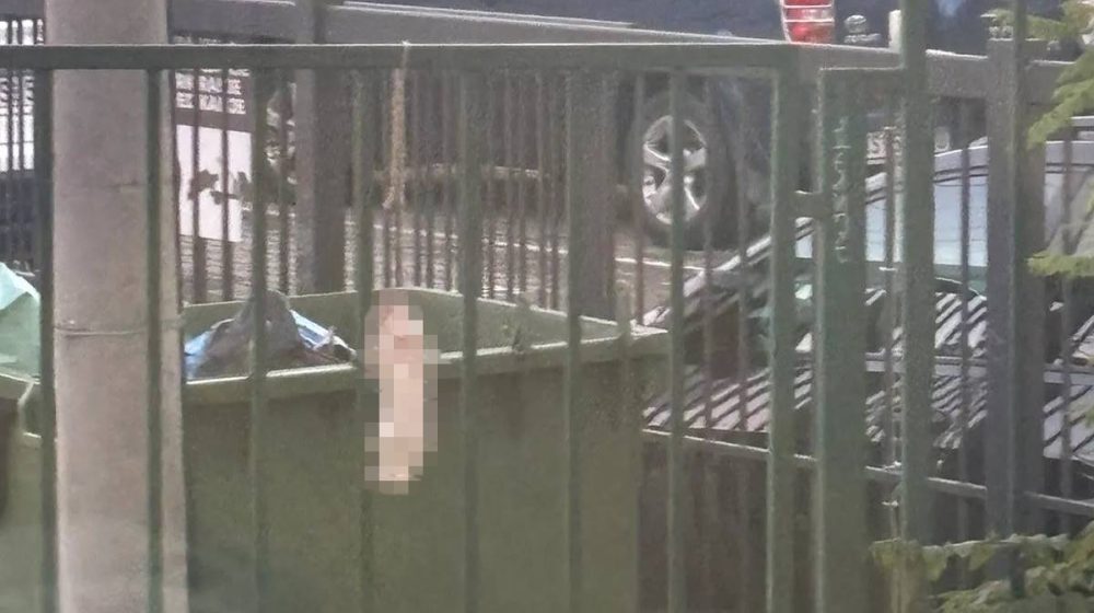 obešen zec u Novom Sadu