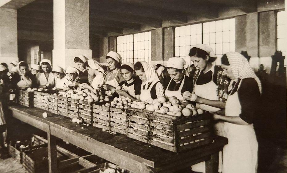 Uspon i pad jedne industrije: Izložba o kragujevačkoj porodici Stefanović i „Staroj zvezdi” 4