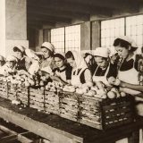 Uspon i pad jedne industrije: Izložba o kragujevačkoj porodici Stefanović i „Staroj zvezdi” 3