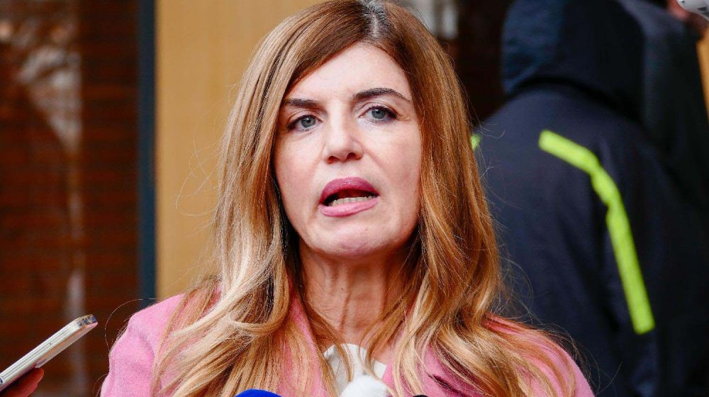 Ljiljana Borović u Evropskom parlamentu: Srbiji u toku sistemsko ugrožavanje demokratskih principa i vladavine prava 9