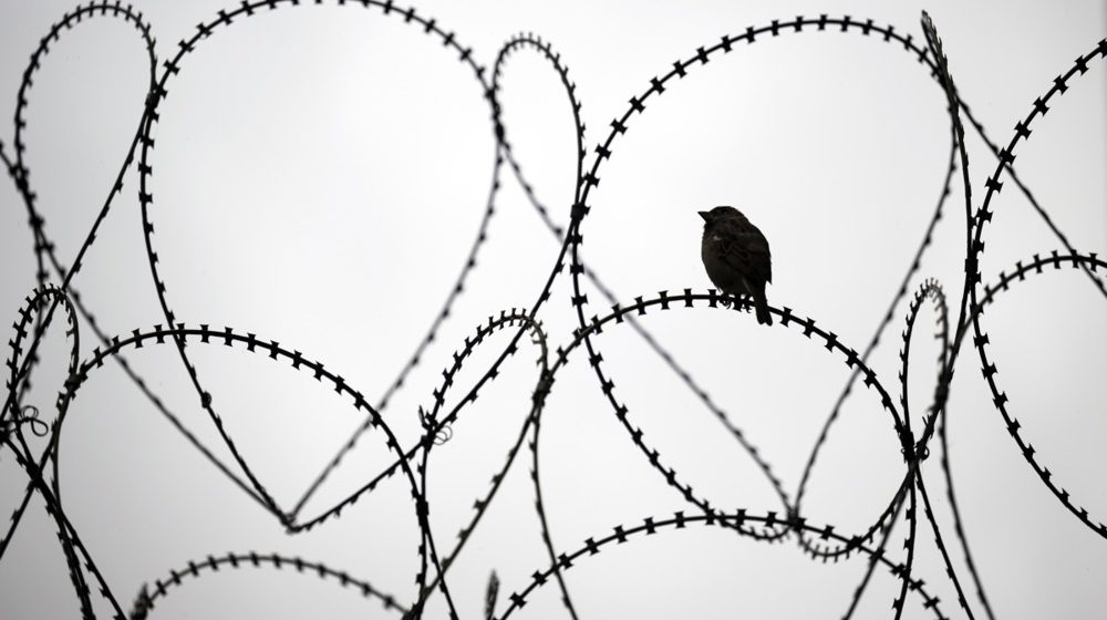 Letonija završila ogradu sa Rusijom: 280 km bodljikave žice na granici 11