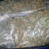 Mediji: Na placu firme u suvlasništvu Dodikovog šefa obezbeđenja pronađeno 138 kilograma marihuane 8