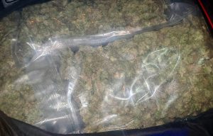 Mediji: Na placu firme u suvlasništvu Dodikovog šefa obezbeđenja pronađeno 138 kilograma marihuane 4