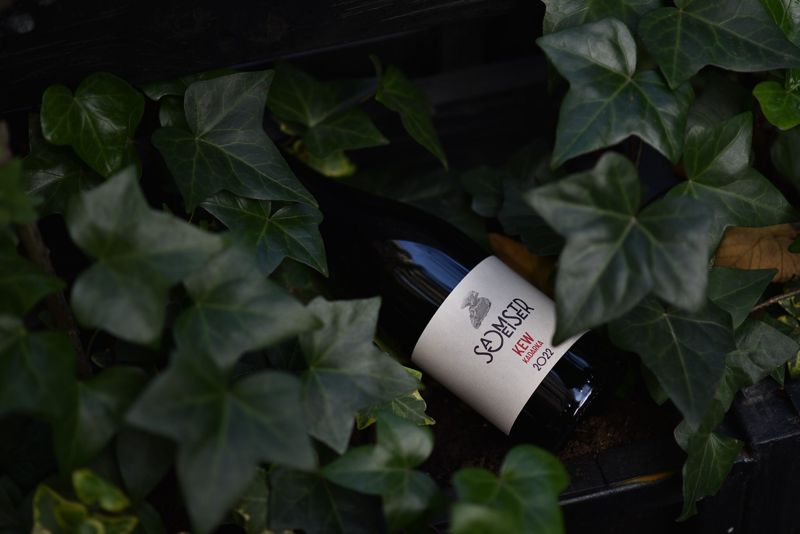 Ovo su najbolja vina i vinarije Srbije za 2025. godinu 3 Ovo su najbolja vina i vinarije Srbije za 2025. godinu 2