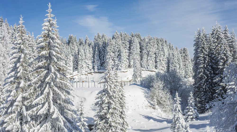 MUP: Žandarmerija danas više puta intervenisala na Kopaoniku zbog težih povreda skijaša 4