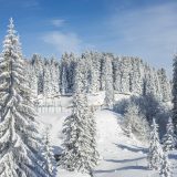 MUP: Žandarmerija danas više puta intervenisala na Kopaoniku zbog težih povreda skijaša 3