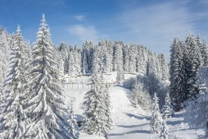MUP: Žandarmerija danas više puta intervenisala na Kopaoniku zbog težih povreda skijaša 4