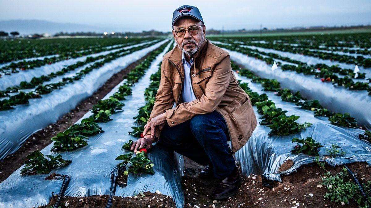 Migrantsko dete preživelo pakao i postalo jedan od najuspešnijih advokata u Americi 5 Antonio u polju