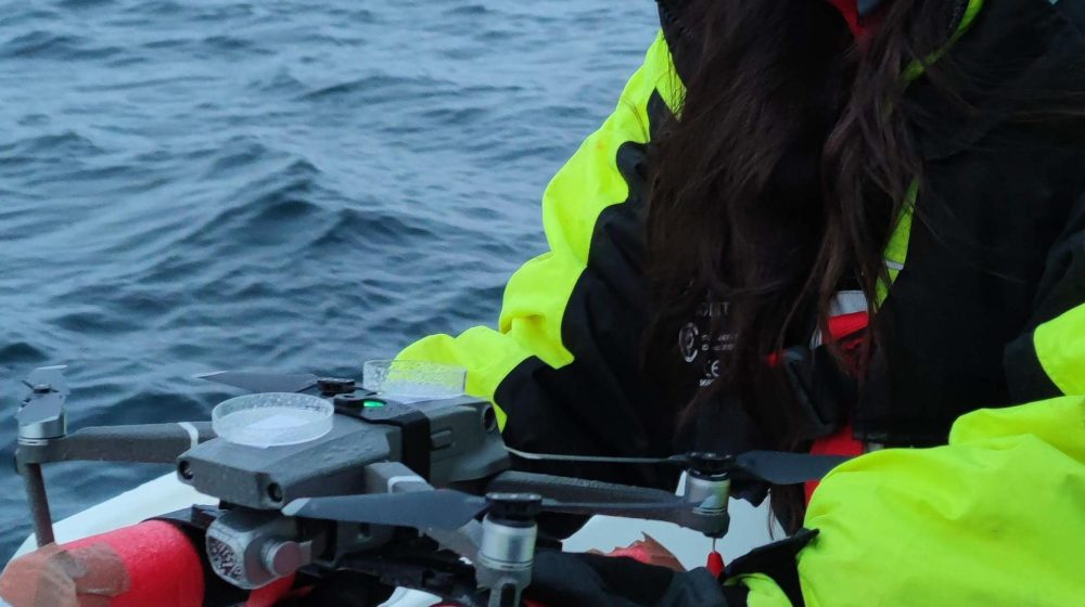 Otkriven smrtonosni virus u mlaznicima arktičkih kitova 9