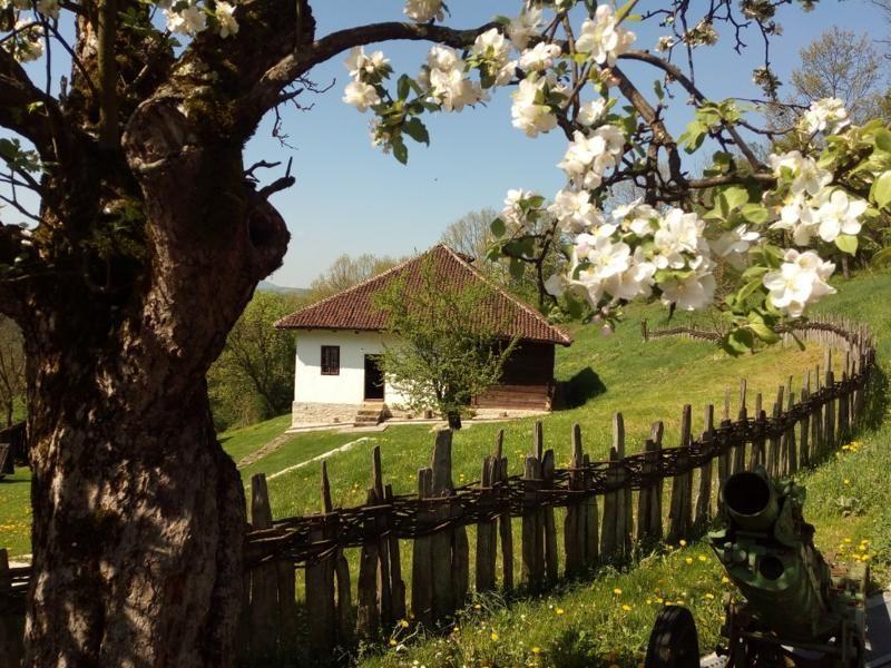 Vojvoda Živojin Mišić - 'ko ne zna za strah, taj ide napred' 4 Dvorište i kuća Mišića