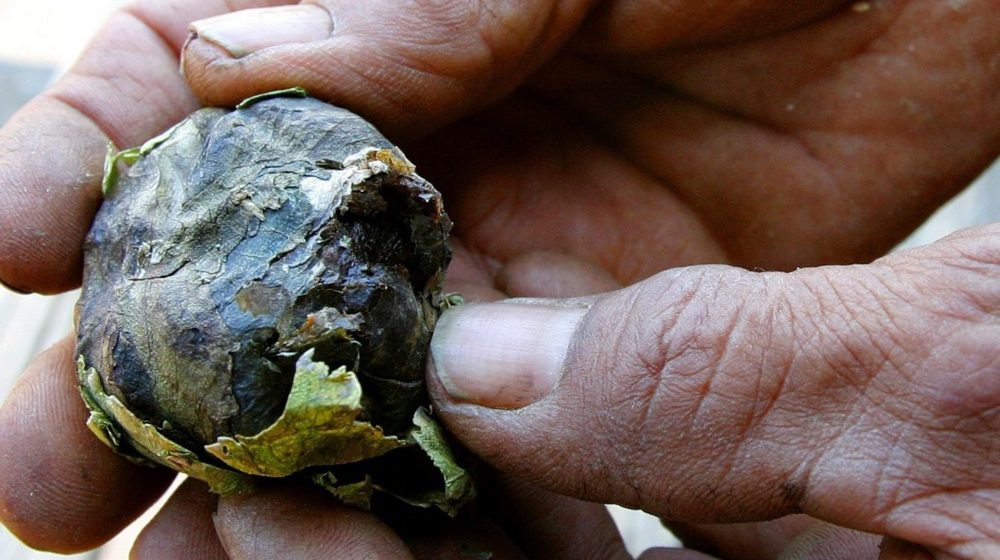 Mjanmar – azijska Kolumbija? 9