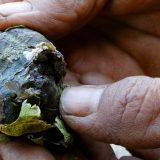 Mjanmar – azijska Kolumbija? 6