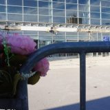 "Sve te vodilo k meni": Kako je Vesić dočekao slobodu? 6