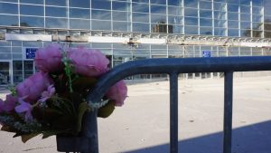 "Sve te vodilo k meni": Kako je Vesić dočekao slobodu? 2