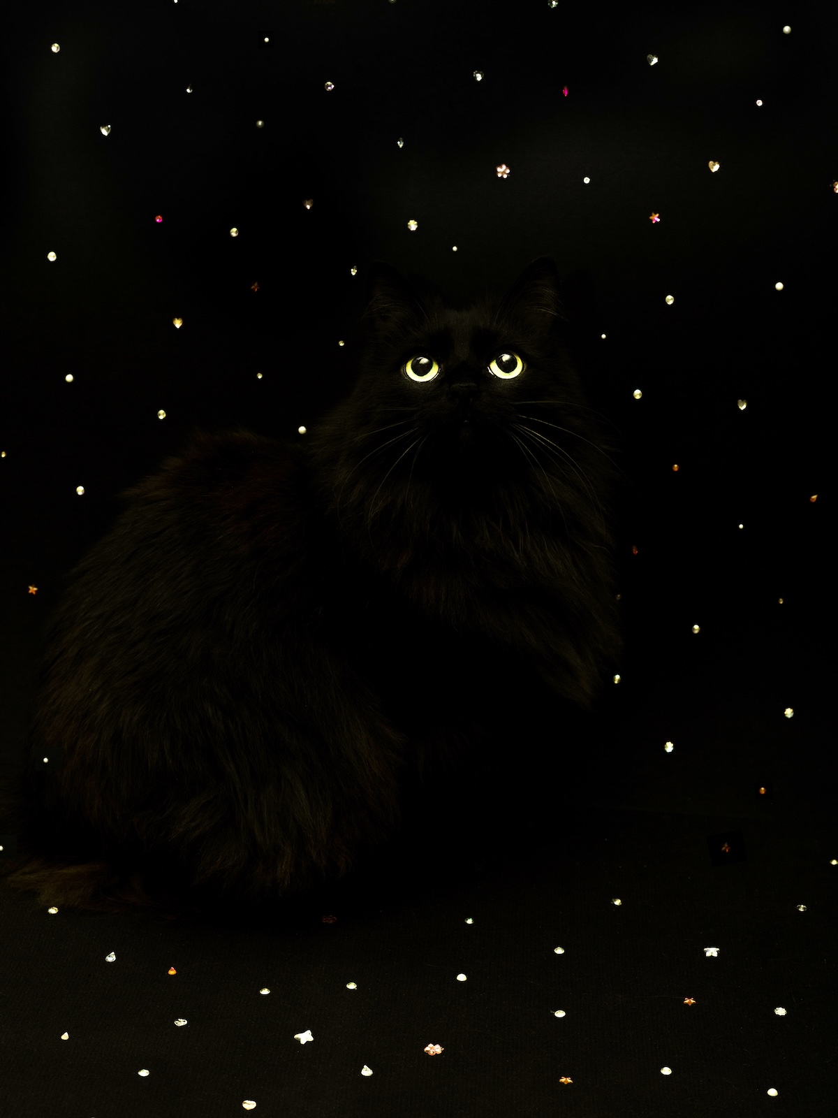 O pamćenju, vremenu i nasleđenom strahu: Srpski i ruski umetnici zajedno u izložbi „JUČE, DANAS, NIKADA“ 2