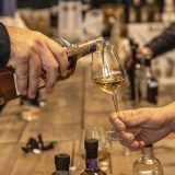 Rock n’ Rakija festival