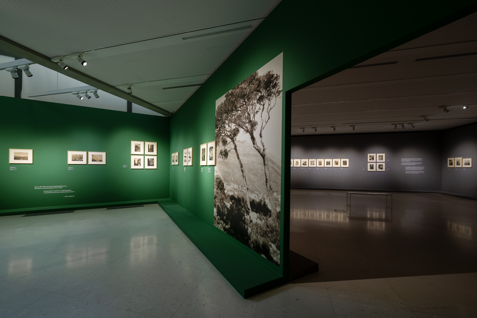 Decembarska javna vođenja i prateći programi u okviru četiri izložbe Muzeja savremene umetnosti u Beogradu 3