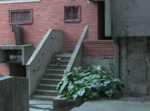 Glas ženskim fantazijama u društvu koje želi da disciplinuje: Premijera filma „Histerični napad smeha“ u Muzej moderne umetnosti u Njujorku 5