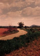 U galeriji Novembar otvorena izložba Highlights: Naše borbe (FOTO) 5