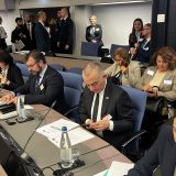 Ministar pravde Nenad Vujić izbegao pitanja novinara Danasa u Savetu Evrope (VIDEO) 2