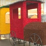 Šta predstavlja novogodišnji vozić u Novom Sadu? 2