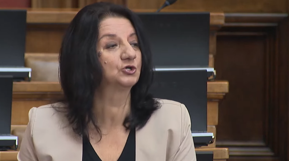 Milanović (SRCE): Vlast neće raditi na reviziji biračkog spiska 1