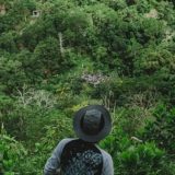 Indonezija objavila tarifnik za ilegalno rudarenje: Kazne i do 390.000 dolara po hektaru uništene šume 15