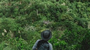 Indonezija objavila tarifnik za ilegalno rudarenje: Kazne i do 390.000 dolara po hektaru uništene šume 3