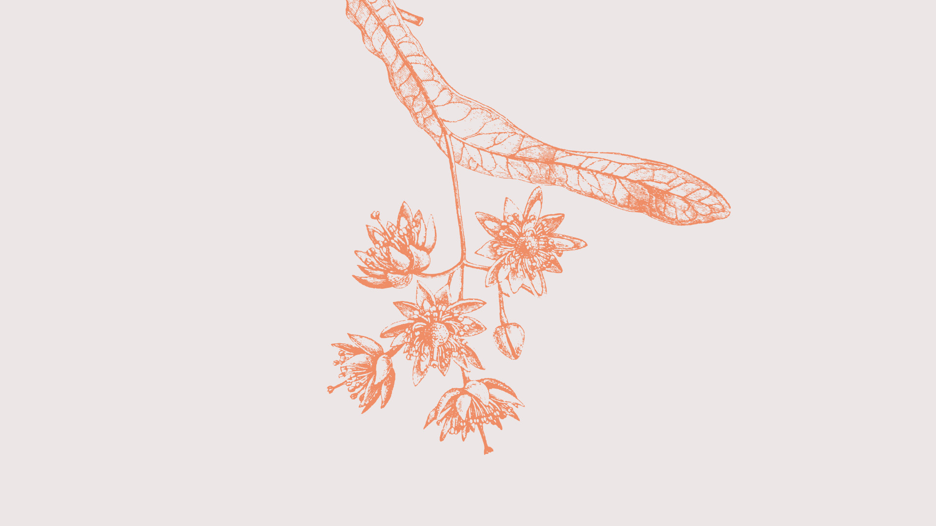 „Agencija za bezbednost duha” i koncert „Iz pera srpskih kompozitora”: Veče niškog SKC-a u Studentsko kulturnom centru Kragujevac 2