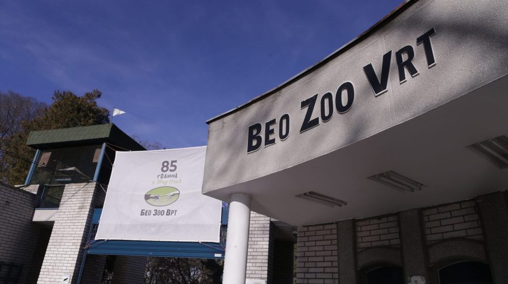 beo zoo vrt