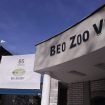 beo zoo vrt