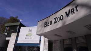 beo zoo vrt