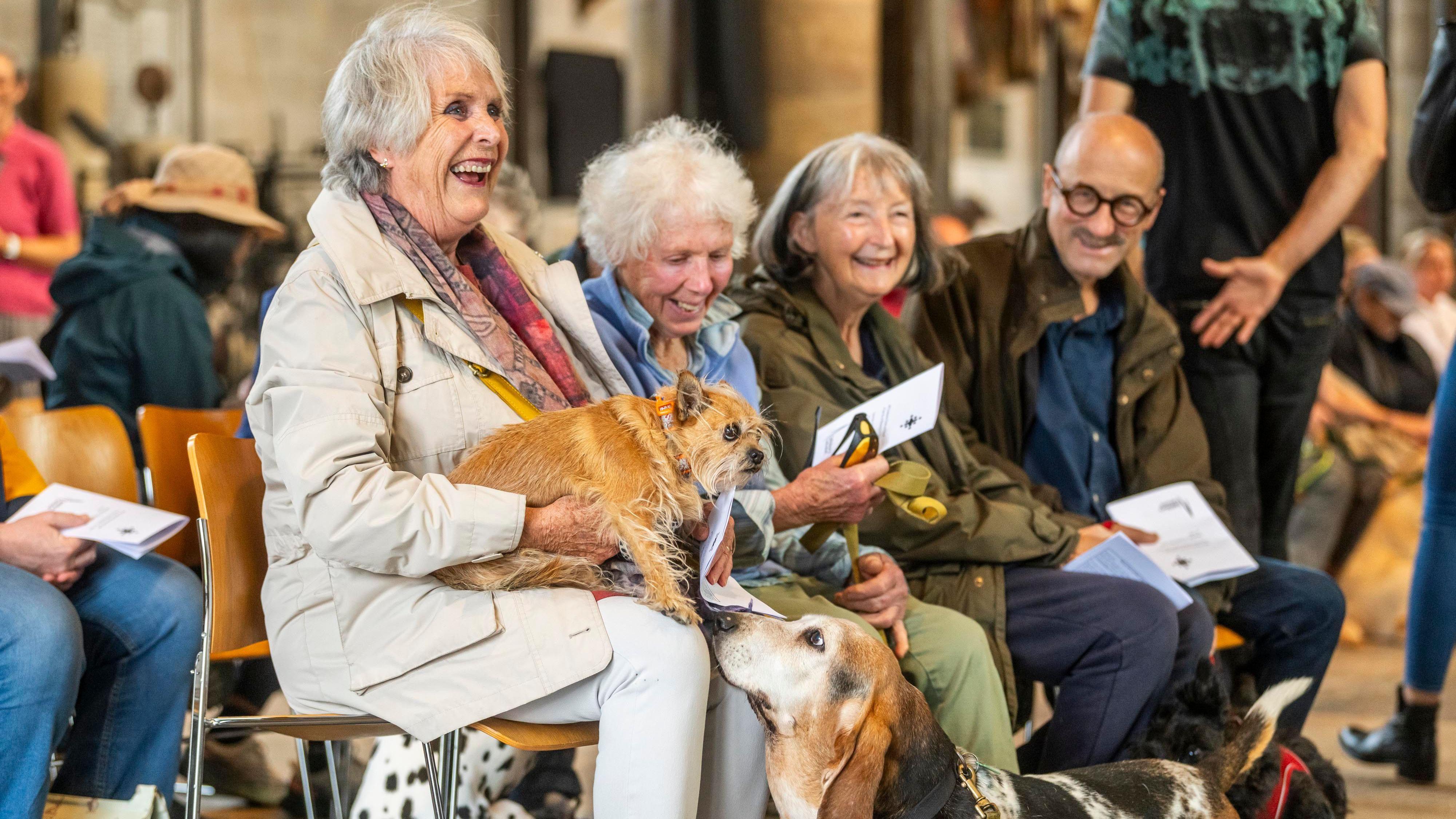 Na verskim službama za životinje u katedrali Salizberi ima čitanja verskih tekstova i pevanja pesama