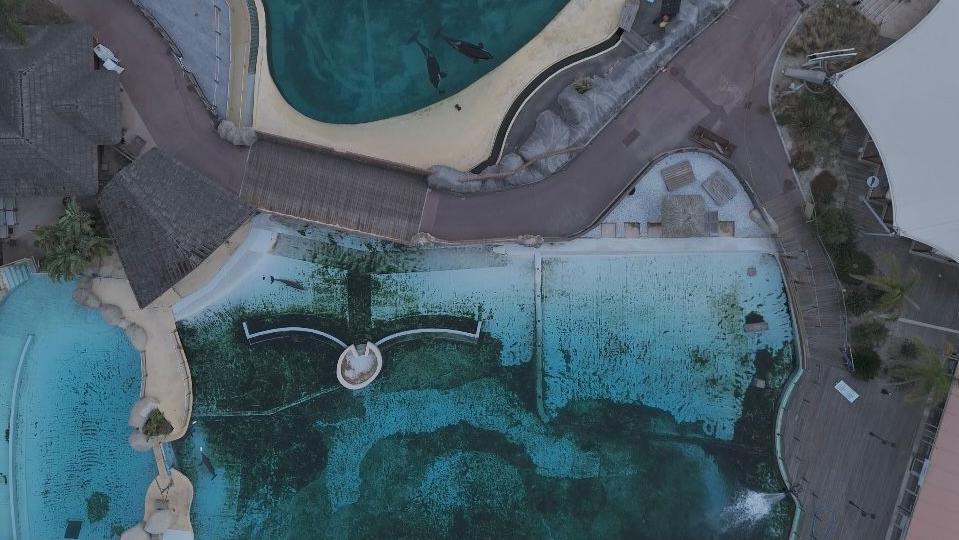 Snimak Marinlenda iz vazduha prikazuje zelene alge na dnu rezervoara za orke.