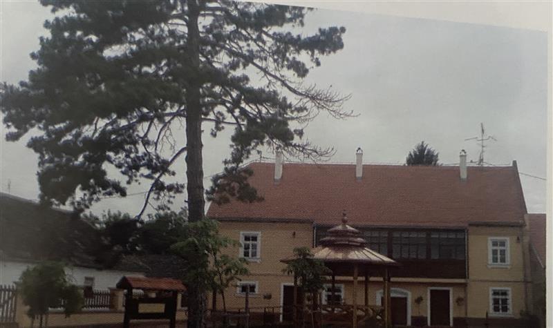 Porodična kuća Milutina Milankovića u Dalju 