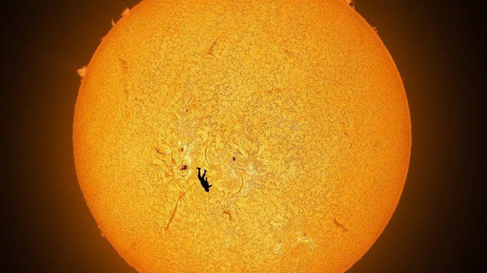 Beli golubovi u Novom Sadu među 18 najupečatljivijih fotografija 2025. 7