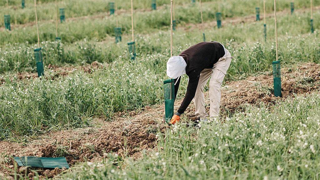 Može li hrana da utiče na klimatske promene 5 Čovek obrađuje zemlju