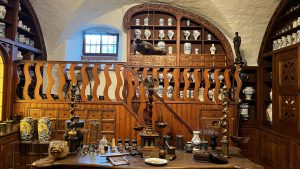 Pluća od lisice, pulverzirana mumija i zmijska koža: Kako jedan muzej razotkriva dva milenijuma istorije farmacije i lekova koje danas koristimo 4 muzej