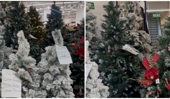 U prodavnici u centru Beograda pronašli smo jelku od 63.000 dinara: Tu je i roze varijanta, ali i one jeftinije 8