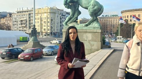 Marinika Tepić "čitala optužnicu" protiv Vladimira Mandića, na stepenicama Skupštine 4