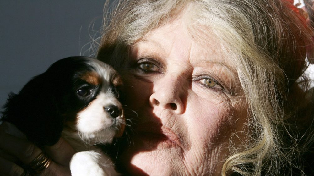 Petar Peca Popović povodom odlaska Brižit Bardo: Video sam Parižanku u Parizu 10