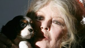 Ostavila nas je Brižitka… (1934 – 2025)“ napisao je na svom Fejsbuk profilu novinar i muzički kritičar Petar Peca Popović povodom smrti francuske glumice Brižit Bardo, koja je preminula danas u 91. godini.