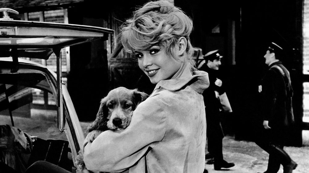 Brižit Bardo: Mit francuskog filma između slave, kontroverzi i aktivizma 10