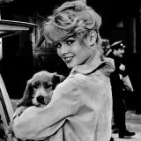 Brižit Bardo: Mit francuskog filma između slave, kontroverzi i aktivizma 7