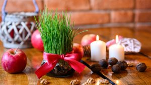 Tajna bujne božićne pšenice: Otkrivamo da li je bolje posaditi je u zemlju ili u vatu