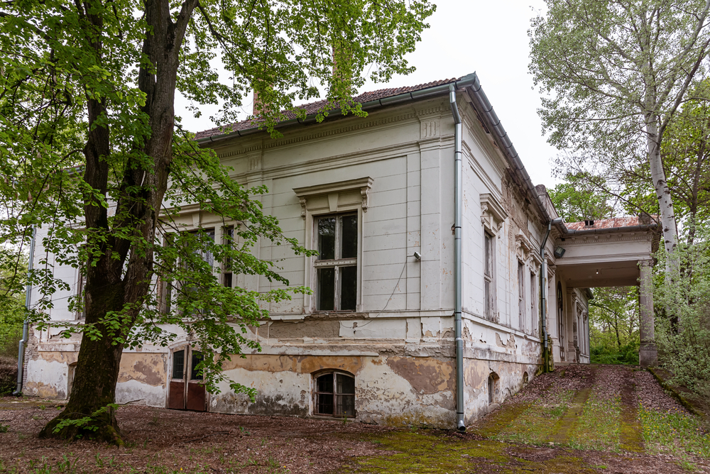 Prodaje se dvorac porodice Dunđerski, kao i park, šuma i zemljište u stečaju, Opština Novi Bečej otkupljuje umetnine 2