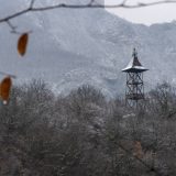 Batut: U delovima zemlje potencijalno opasne temperature u narednih nedelju dana 11