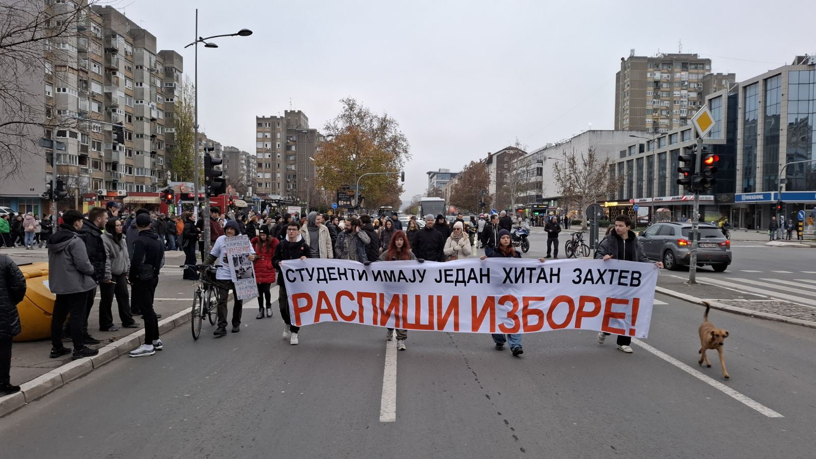 Protest studenata u Novom Sadu protiv brutalnosti policije završen, nastavlja se u Bačkoj Palanci 3